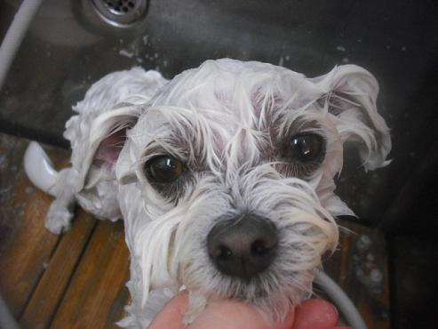 ファイル 3273-2.jpg