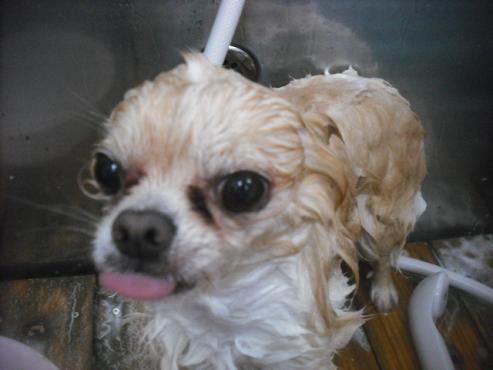 ファイル 3275-2.jpg