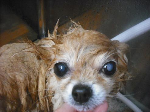 ファイル 3276-2.jpg