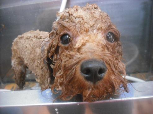 ファイル 3277-2.jpg