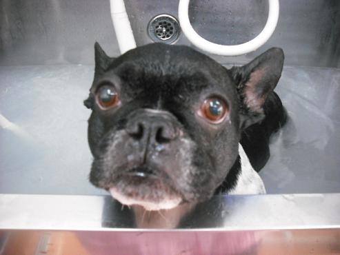 ファイル 328-2.jpg