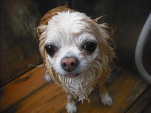 ファイル 3283-2.jpg