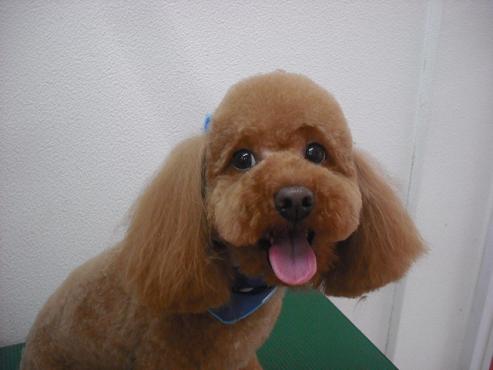 ファイル 329-1.jpg