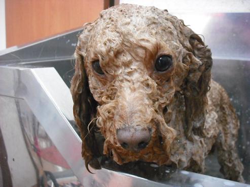 ファイル 329-2.jpg