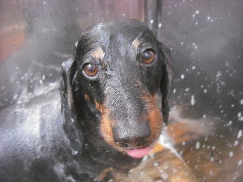 ファイル 3299-1.jpg