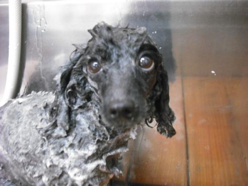 ファイル 33-2.jpg