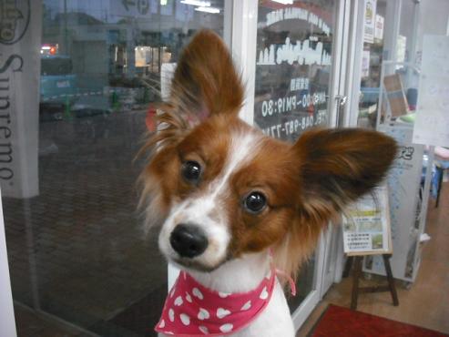 ファイル 330-1.jpg