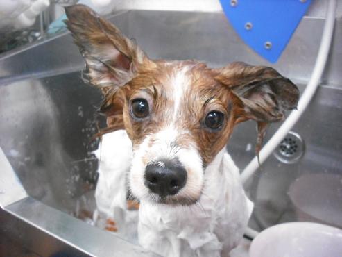 ファイル 330-2.jpg