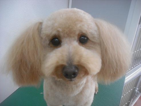 ファイル 3301-2.jpg