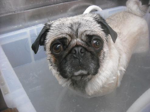 ファイル 3302-2.jpg