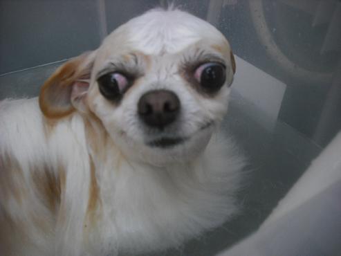 ファイル 3304-2.jpg