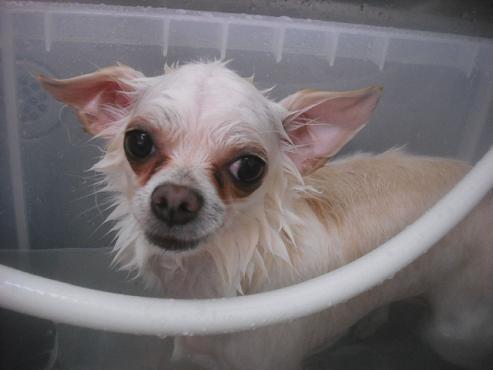 ファイル 3305-2.jpg