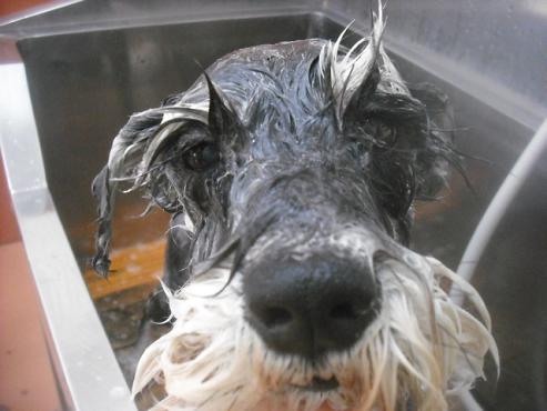 ファイル 3307-2.jpg