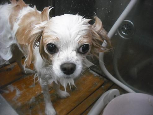 ファイル 3308-2.jpg