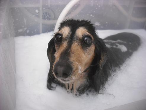 ファイル 3309-2.jpg