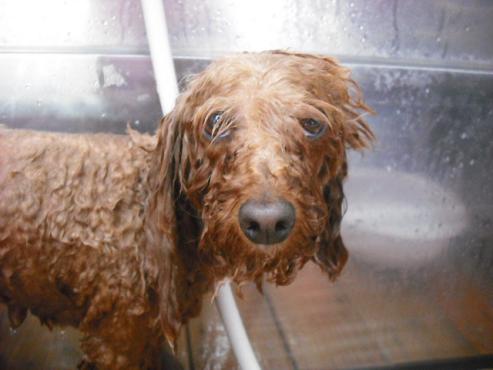 ファイル 331-2.jpg