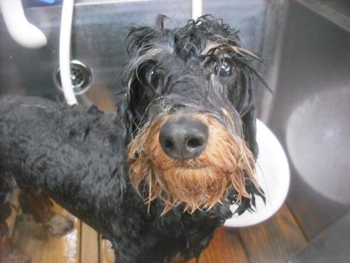 ファイル 3311-2.jpg