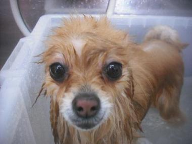 ファイル 3314-2.jpg