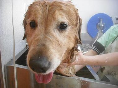 ファイル 3316-2.jpg