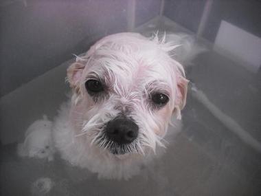 ファイル 3317-2.jpg