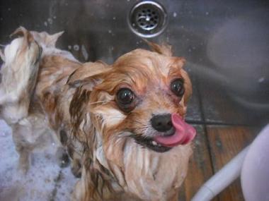 ファイル 3319-2.jpg