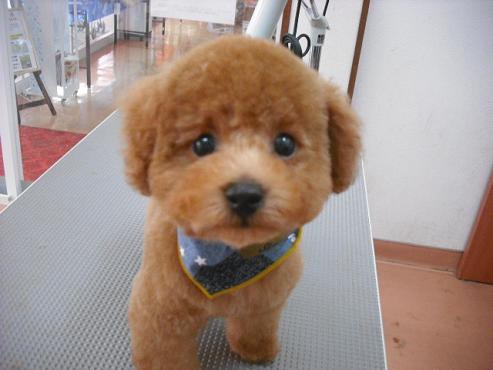 ファイル 332-1.jpg