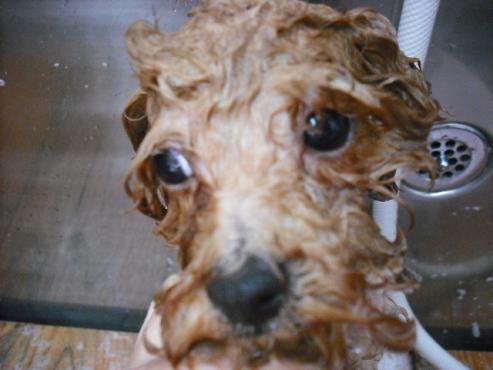 ファイル 332-2.jpg