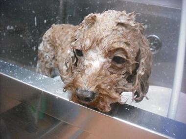 ファイル 3322-2.jpg