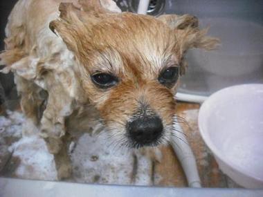 ファイル 3323-2.jpg