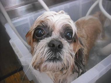 ファイル 3325-2.jpg