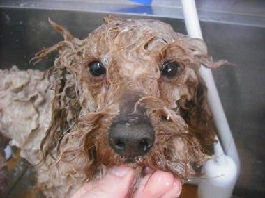 ファイル 3326-2.jpg