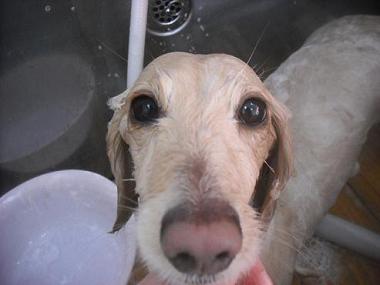 ファイル 3328-2.jpg