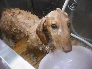 ファイル 3329-2.jpg