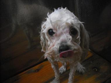 ファイル 3331-2.jpg