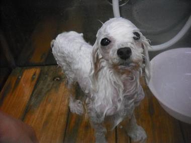 ファイル 3332-2.jpg