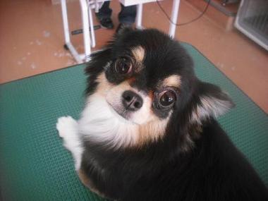 ファイル 3333-1.jpg