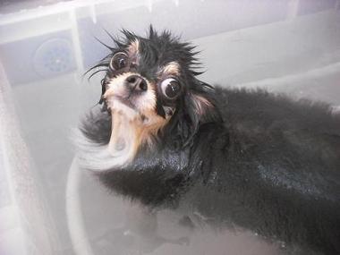 ファイル 3333-2.jpg