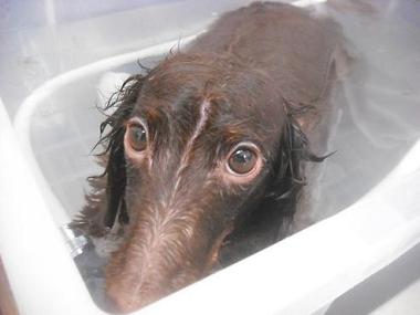 ファイル 3334-2.jpg