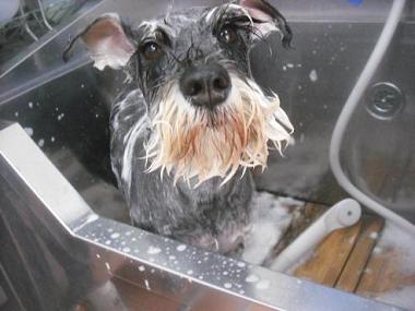 ファイル 3335-2.jpg