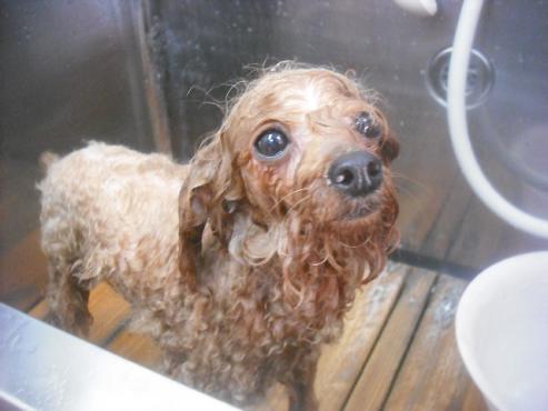 ファイル 3337-2.jpg