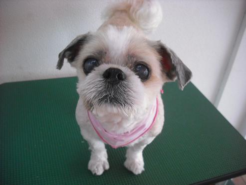 ファイル 334-1.jpg