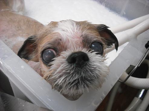 ファイル 334-2.jpg