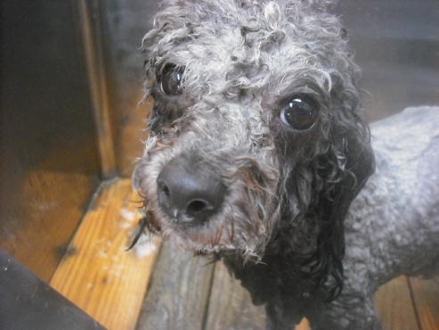 ファイル 3340-2.jpg