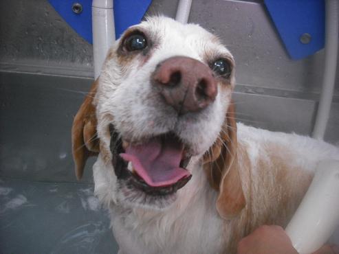 ファイル 3341-2.jpg