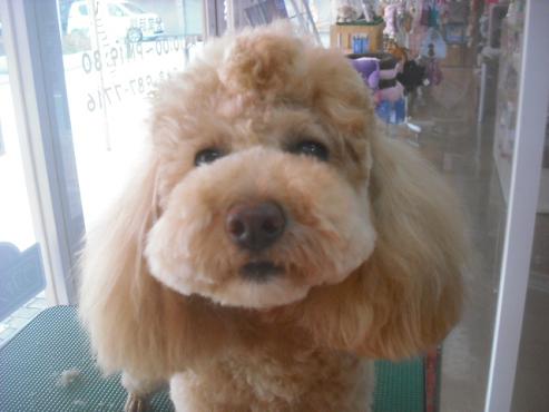 ファイル 3345-2.jpg