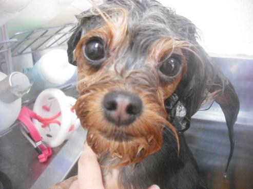 ファイル 3346-2.jpg