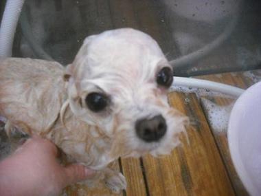 ファイル 3347-2.jpg