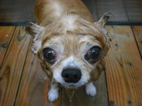 ファイル 335-2.jpg