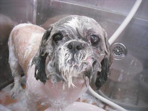 ファイル 3355-2.jpg