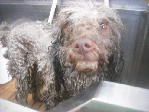 ファイル 3356-2.jpg